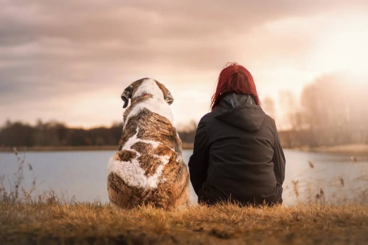 Dog and woman sitting side by side at lake